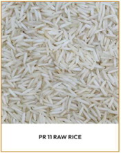 PR11 Golden Sella Rice