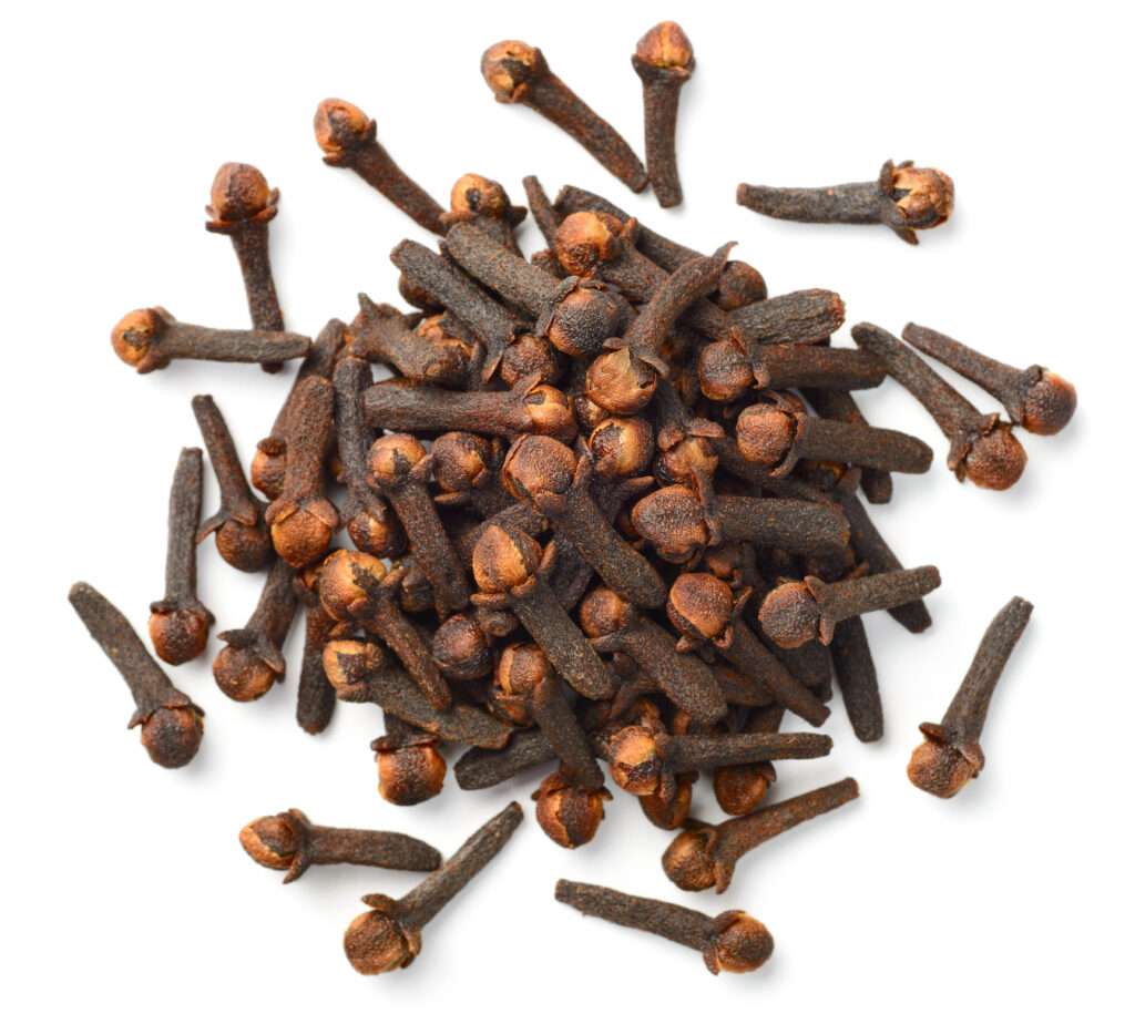 Mace Flower-4
